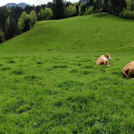 In Zillertal Near Spieljochbahn شقة هارت إم زيلرتال