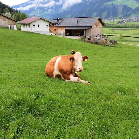 In Zillertal Near Spieljochbahn Appartement *